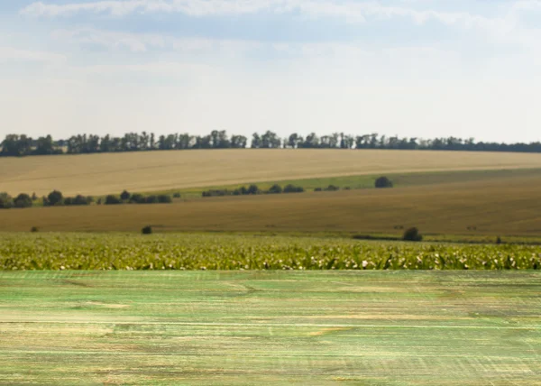 Beautiful vintage table on the background of the landscape. — Stock Photo, Image