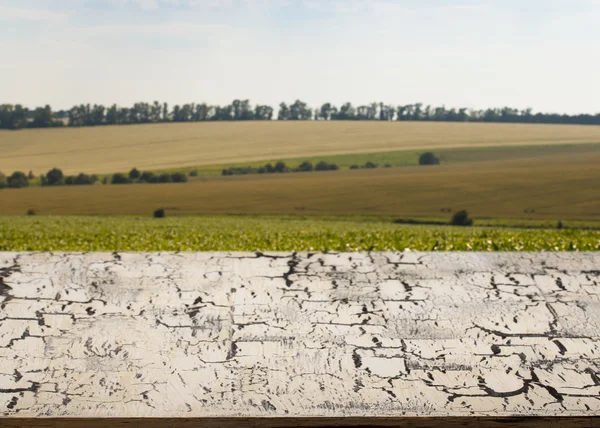 Beautiful vintage table on the background of the landscape. — Stock Photo, Image