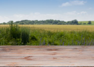Çok güzel bir manzara ile ahşap tablo.