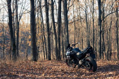 Siyah Suzuki GSR600 motosiklet doğada.