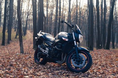 Siyah Suzuki GSR600 motosiklet doğada.