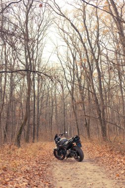 Siyah Suzuki GSR600 motosiklet doğada.