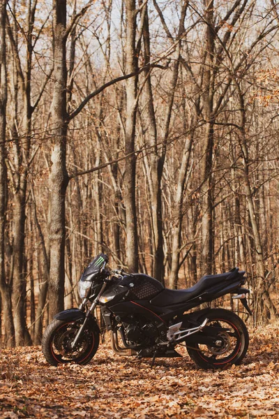 스즈키 Gsr600 오토바이 자연계 — 스톡 사진