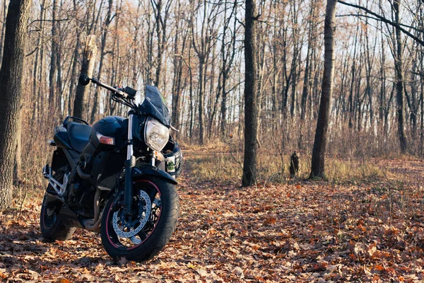 Zwarte Suzuki Gsr600 Motorfiets Natuur — Stockfoto