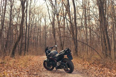 Sonbahar ormanlarında siyah stil spor motosikleti.