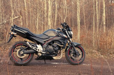 UKRAINE, KIEV - 22 Kasım 2020: Ormanda güçlü siyah motosiklet Suzuki GSR600.