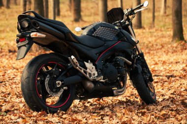 UKRAINE, KIEV - 22 Kasım 2020: Ormanda güçlü siyah motosiklet Suzuki GSR600.