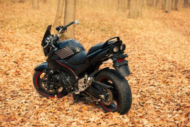 UKRAINE, KIEV - 22 Kasım 2020: Ormanda güçlü siyah motosiklet Suzuki GSR600.