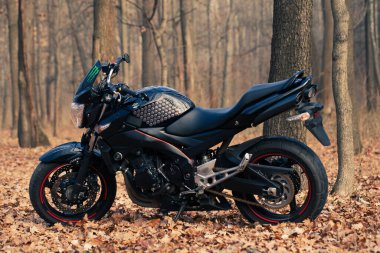 UKRAINE, KIEV - 22 Kasım 2020: Ormanda güçlü siyah motosiklet Suzuki GSR600.