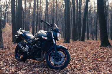 Sonbahar ormanlarında siyah stil spor motosikleti.