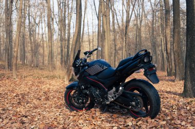 UKRAINE, KIEV - 22 Kasım 2020: Ormanda güçlü siyah motosiklet Suzuki GSR600.