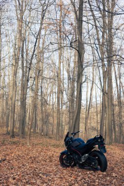 Sonbahar ormanlarında siyah stil spor motosikleti.