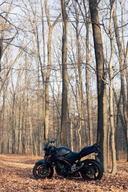 Sonbahar ormanlarında siyah stil spor motosikleti.