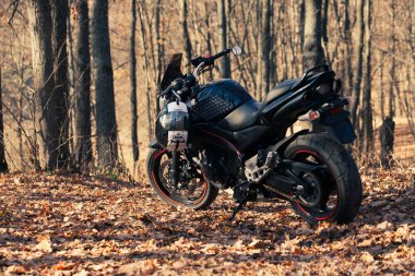 UKRAINE, KIEV - 22 Kasım 2020: Ormanda güçlü siyah motosiklet Suzuki GSR600.