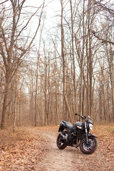 Moto Esporte Elegante Preto Floresta Outono — Fotografia de Stock