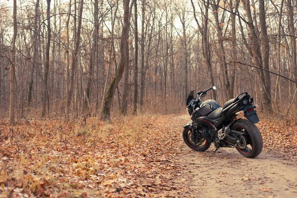 Ukraine Kiev Novembre 2020 Puissante Moto Noire Suzuki Gsr600 Forêt — Photo