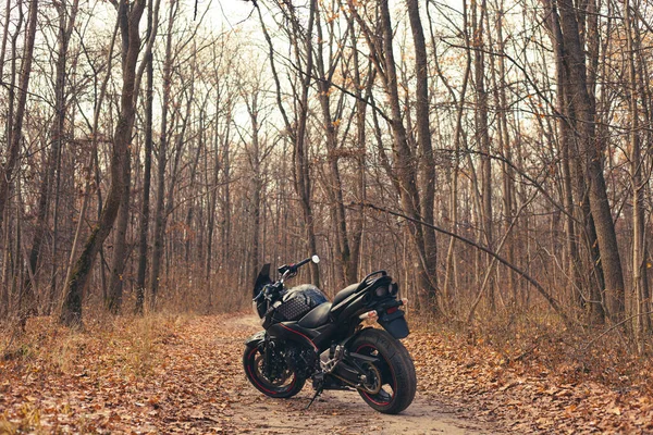 Czarny Stylowy Motocykl Sportowy Jesiennym Lesie — Zdjęcie stockowe
