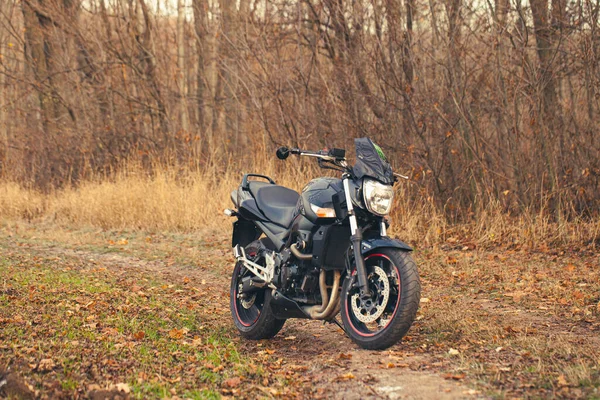 Sonbahar ormanlarında siyah stil spor motosikleti.