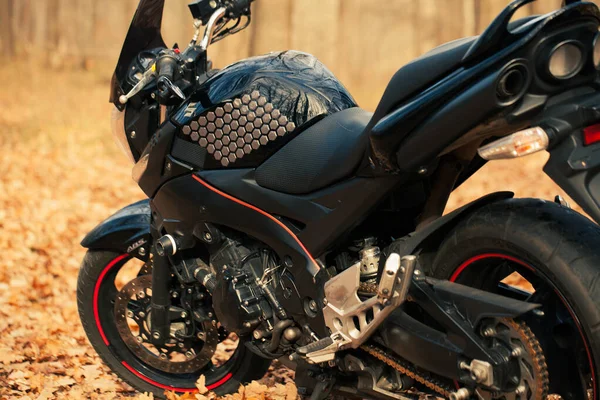 UKRAINE, KIEV - 22 Kasım 2020: Ormanda güçlü siyah motosiklet Suzuki GSR600.