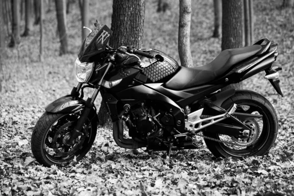 Ukraine Kiev Novembre 2020 Puissante Moto Noire Suzuki Gsr600 Forêt — Photo