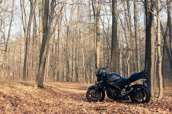 Ukraine Kiev Listopad 2020 Potężny Czarny Motocykl Suzuki Gsr600 Leśnej — Zdjęcie stockowe