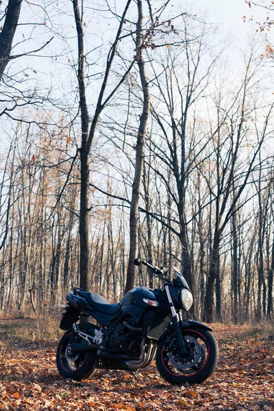 Moto Sport Élégante Noire Forêt Automne — Photo