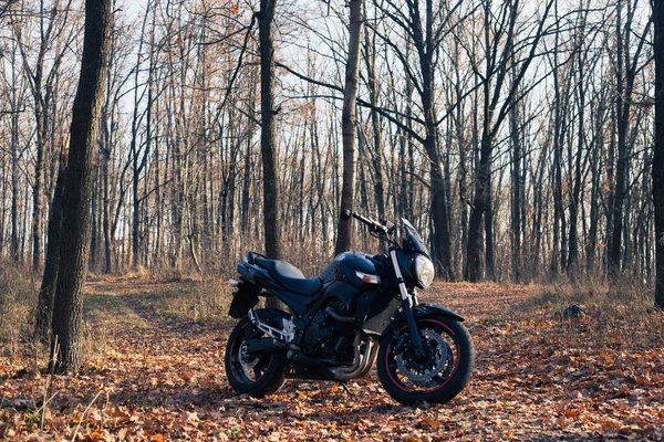 Moto Sport Élégante Noire Forêt Automne — Photo