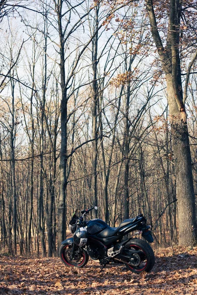 Ukraine Kiev November 2020 Powerful Black Motorcycle Suzuki Gsr600 Forest — 스톡 사진