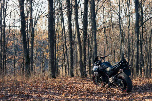 Ukraine Kiev Novembre 2020 Puissante Moto Noire Suzuki Gsr600 Forêt — Photo