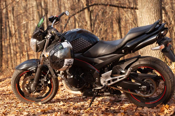 UKRAINE, KIEV - 22 Kasım 2020: Ormanda güçlü siyah motosiklet Suzuki GSR600.