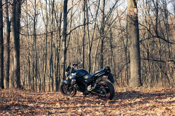 Ukraine Kiev Kasım 2020 Ormanda Güçlü Siyah Motosiklet Suzuki Gsr600 — Stok fotoğraf