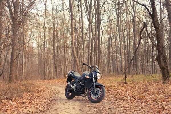 Black Stylish Sport Motorcycle Autumn Forest Stock Picture