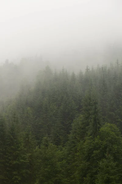 Mooie Wolken Hoog Bergen — Stockfoto