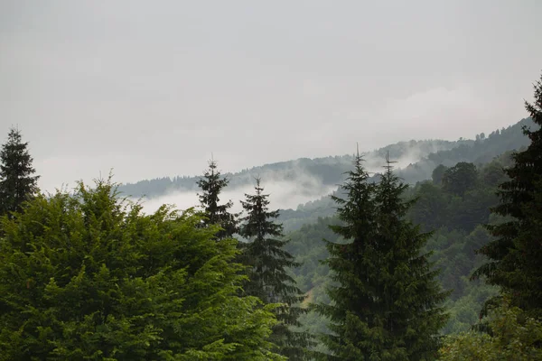 Mooie Wolken Hoog Bergen — Stockfoto
