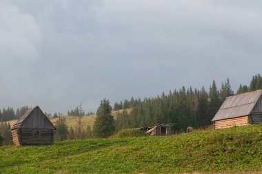 Karpat Dağları 'nın güzel manzarası.
