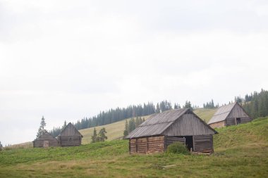 Karpat Dağları 'nın güzel manzarası.