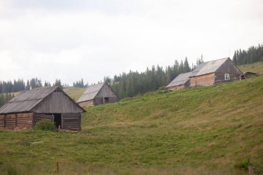 Karpat Dağları 'nın güzel manzarası.