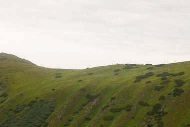 Karpat Dağları 'nın güzel manzarası.