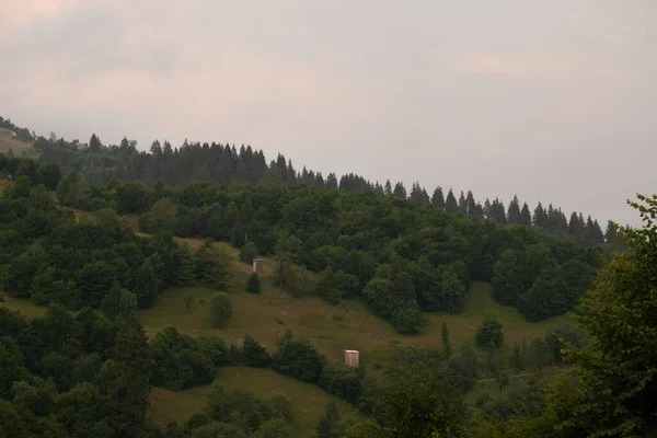 Beau Paysage Dans Les Carpates — Photo