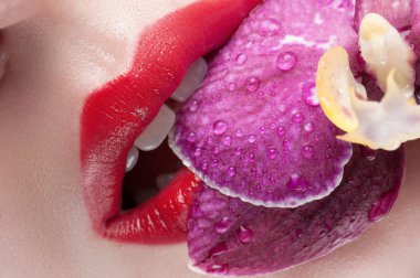 Red lips on a background of lush roses. Lips and flower close-up.