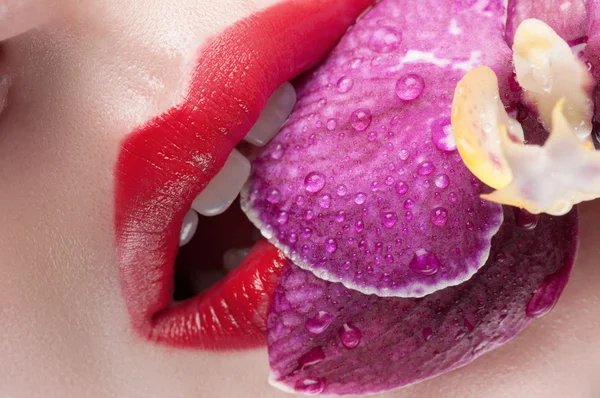 Red lips on a background of lush roses. Lips and flower close-up. — Stockfoto