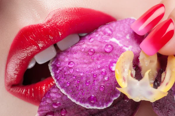 Lábios vermelhos em um contexto de rosas exuberantes. Lábios e flor close-up . — Fotografia de Stock
