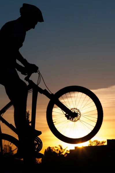 Silhouette of a cyclist at sunset.