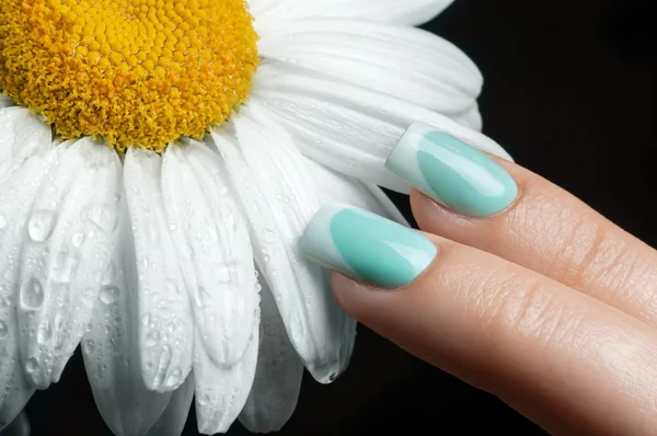 Hermosa manicura . — Foto de Stock