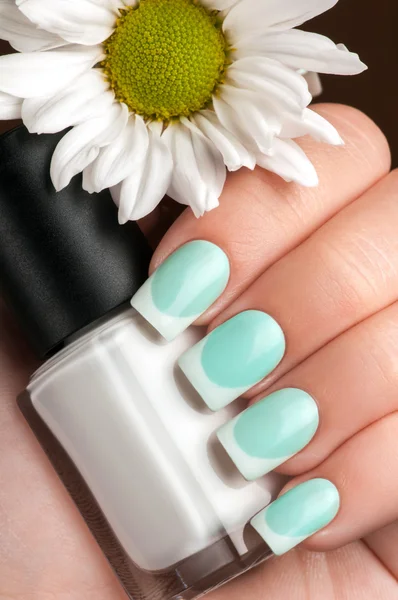 Beautiful manicure. — Stock Photo, Image