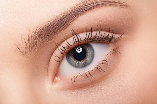 Natural eye makeup — Stock Photo, Image