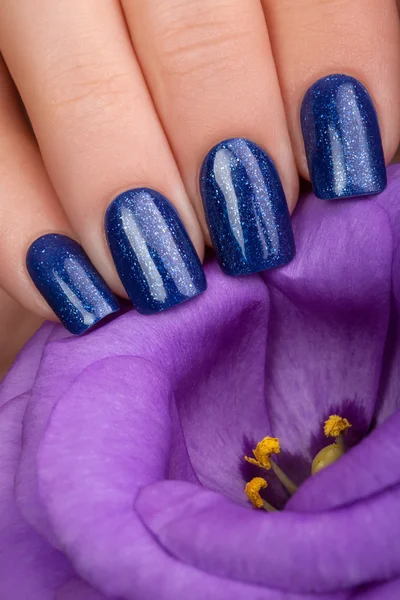 Verniz de unhas azul . — Fotografia de Stock