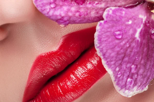 Los labios rojos con bayas — Foto de Stock