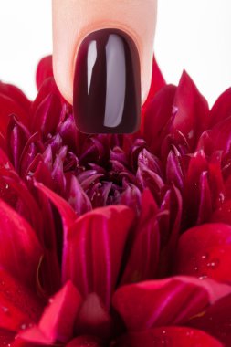 koyu kırmızı oje.