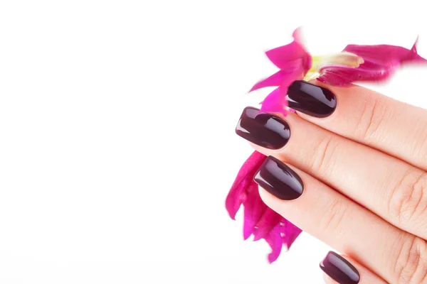 Donker rood nagellak. — Stockfoto